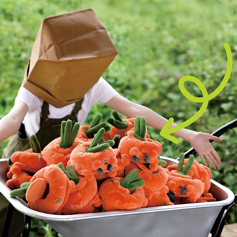 LOGLOGA Carrot small (storage box) Plush